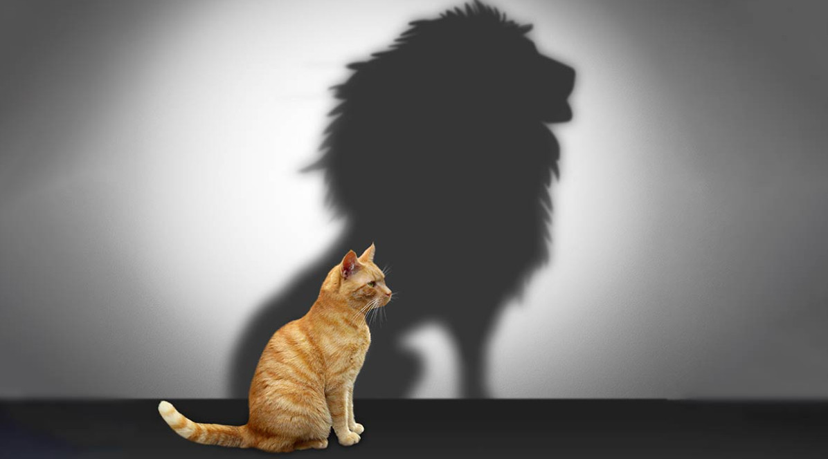 Hire Leaders for What They Can Do, Not What They Have Done