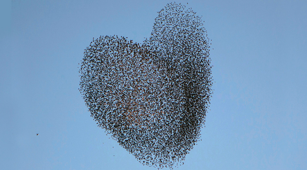 The Secret to Leading Organizational Change Is Empathy
